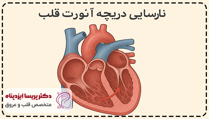 علت نارسایی دریچه آئورت