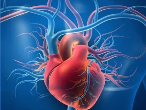 کاردیومیوپاتی آریتموژنیک بطن راست ARVC