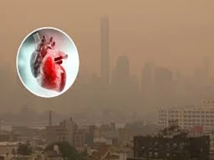 آلودگی هوا و درد قلب