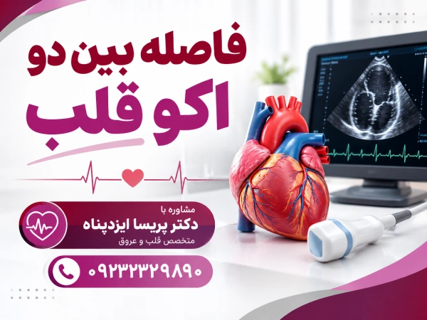 فاصله مناسب بین دو اکو قلب