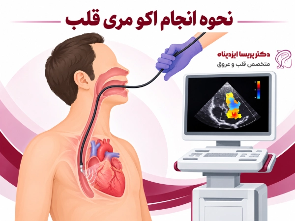 نحوه انجام اکو مری قلب