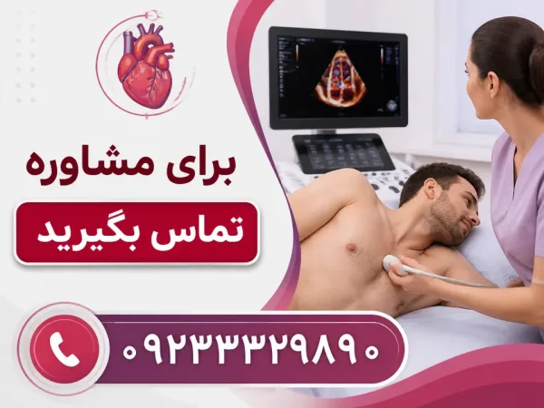 مدت زمان انجام اکو سه بعدی قلب چقدر است — نحوه انجام اکو سهبعدی قلب از روی قفسه سینه