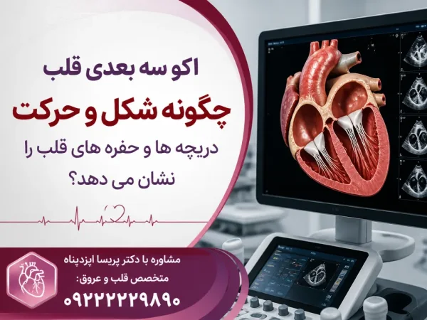 اکو سه بعدی قلب چگونه شکل و حرکت دریچه ها و حفره های قلب را نشان می دهد — نمای سهبعدی دریچهها و حفرههای قلب در اکوکاردیوگرافی سهبعدی